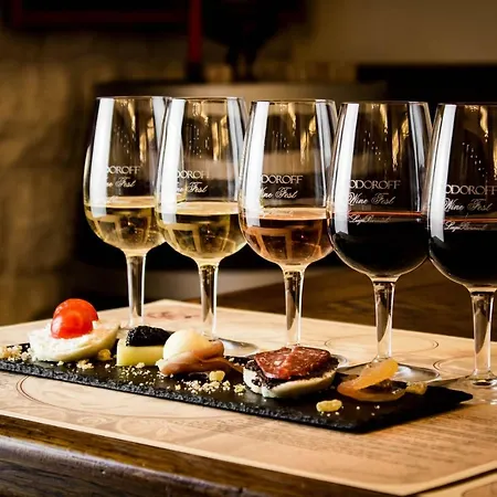 ホテル Todoroff Wine 5*